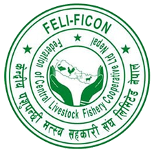 FELIFICON